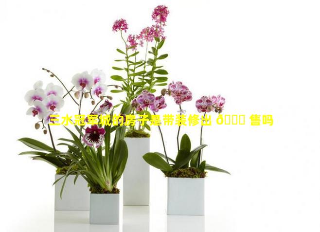 三水冠军城的房子是带装修出 💐 售吗